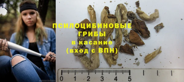 a pvp Володарск