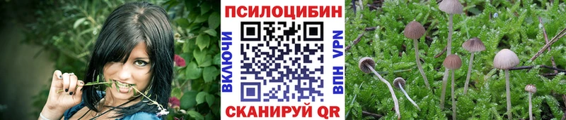 Купить где  Котовск  Галлюциногенные грибы прущие грибы 